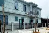 Bỏ mặc cây xanh thành 'củi khô' hàng loạt giữa khu định cư mới