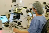 Các cặp vợ chồng hiếm muộn, khó khăn có cơ hội được làm IVF miễn phí