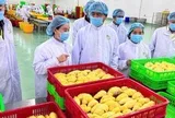Nông sản Việt thích ứng quy định từ Trung Quốc