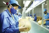 Đề xuất mở rộng đối tượng hưởng thuế suất ưu đãi với doanh nghiệp nhỏ và vừa