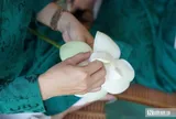 Ảnh: Du khách thích thú ngắm sen, thưởng tiệc cung đình giữa Đảo Bồng Lai