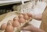 Người phụ nữ 33 tuổi ngày nào cũng ăn trứng suốt 5 tháng, đi khám sức khỏe bác sĩ bất ngờ hỏi: "Chị đã làm gì vậy?"
