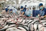 Xuất khẩu thủy sản tháng 7 đạt 1,1 tỷ USD, thị trường lớn hiện ra sao?