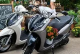 Bảng giá xe máy Honda Lead mới nhất tháng 9/2026