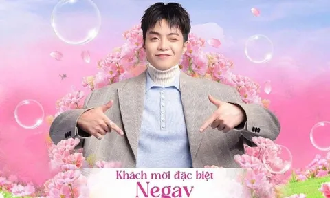 Diana xin lỗi sau ồn ào mời Negav: Ai đứng sau doanh nghiệp?