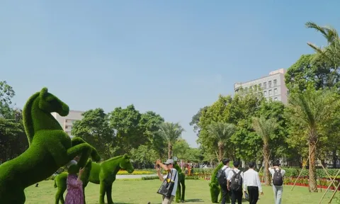 'Đất vàng' bỏ hoang giữa trung tâm TPHCM thành công viên đông vui dịp Tết