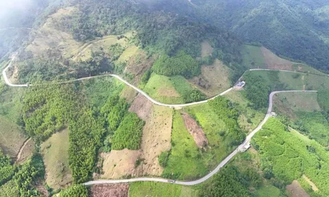 Hơn 2.350 tỷ đồng nâng cấp Quốc lộ ở Quảng Ngãi, giải bài toán đèo Vi Ô Lắk