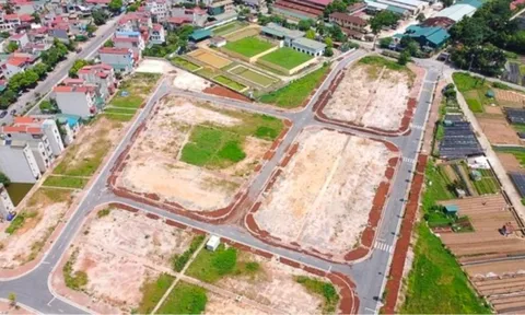 Đấu giá đất ven đô Hà Nội: Tăng nhiệt cục bộ hay tín hiệu hồi phục thị trường?