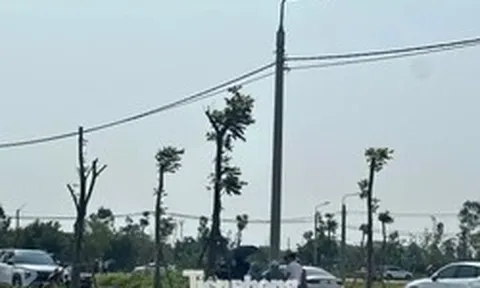 Đất nông thôn vùng quê bất ngờ 'sốt', ô tô đổ về kín đường