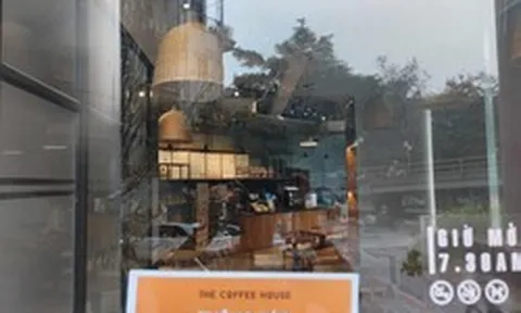 The Coffee House lỗ 6,4 tỷ đồng trong năm 2025, 'góp' cho Golden Gate khoản lỗ tổng cộng 73,7 tỷ đồng