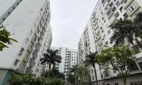 Thêm dự án nhà ở xã hội hơn 2.000 tỷ đồng ở trung tâm Đà Nẵng