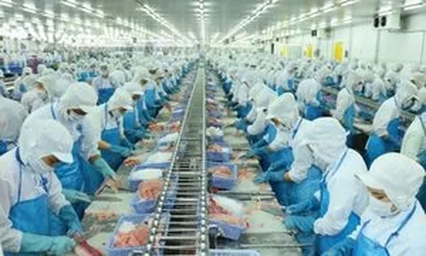 Moody’s nâng triển vọng tín nhiệm Việt Nam lên 'Tích cực,' kỳ vọng bứt phá