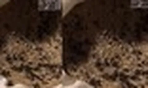 Mở gối ra kiểm tra, người phụ nữ hoảng hốt vì cảnh tượng bên trong