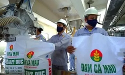 Hưởng lợi lớn từ “cơn sốt” urê toàn cầu, Đạm Cà Mau (DCM) báo lãi đột biến trong quý 1