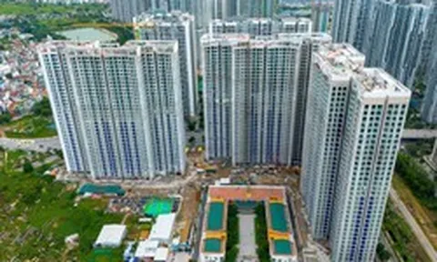 Thị trường chung cư Hà Nội, TP.HCM, Hưng Yên, Đồng Nai, Tây Ninh... đang diễn biến "lạ"