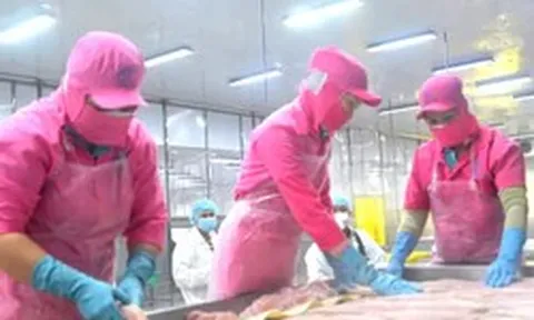 Thủy sản Việt Nam xuất Trung Quốc nhiều nhất