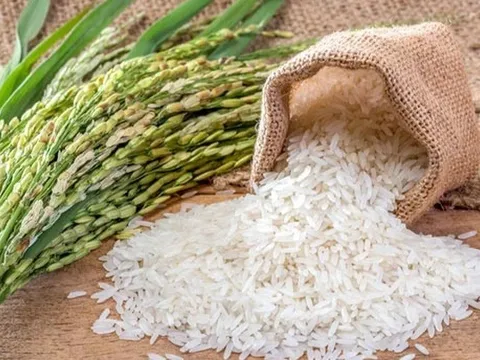 Thủ tướng chỉ đạo giải pháp ứng phó biến động thị trường gạo
