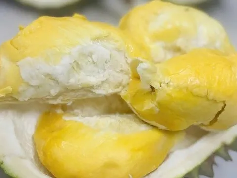 Loại sầu riêng bán 700.000 đồng/kg nhưng vẫn "cháy hàng"