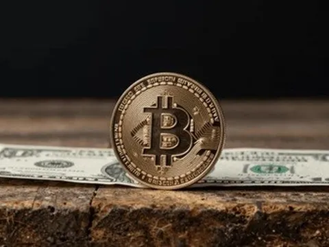 Bitcoin rơi tự do, tỷ USD tháo chạy kỷ lục, đáy sâu ở đâu?