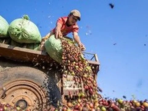 Việt Nam đón tin vui từ Campuchia