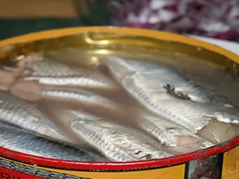 Việt Nam sở hữu loại cá "tốt nhất thế giới", giá bình dân, ngoài chợ bán đầy