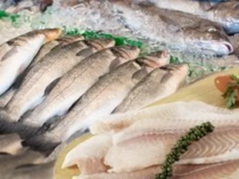 550 nhà hàng Nhật dùng 1 loại cá sông Việt Nam thay thế lươn nướng xa xỉ, tạo kỷ lục 34 triệu đô la