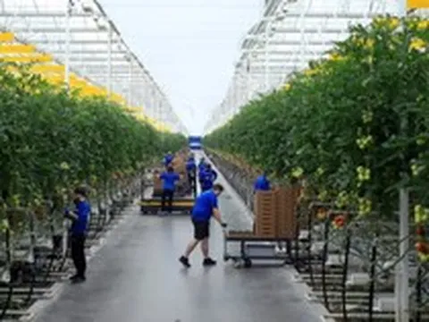 Cú rơi của những 'kỳ lân xanh': Phá sản dù từng huy động hàng trăm triệu USD, số công ty sống sót chỉ còn phân nửa