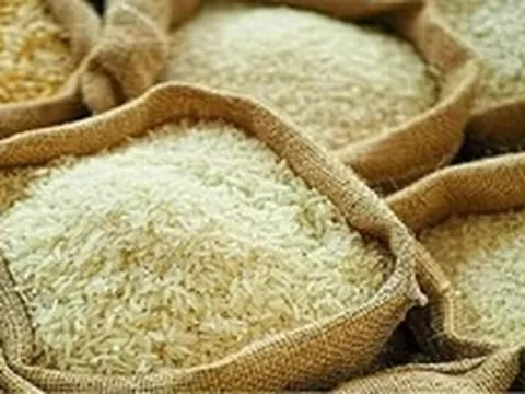 Giá gạo châu Á giảm do chi phí vận tải tăng mạnh