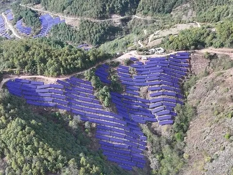 Risen Energy giành được đơn hàng mô-đun HJT 1,2GW từ China Huaneng Group, khẳng định vị thế dẫn đầu ngành