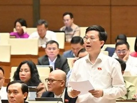 Xây dựng hệ sinh thái phát triển các doanh nghiệp nội địa 'xương sống'