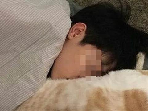 Ôm mèo mà không rửa tay, cậu bé 14 tuổi "sốc" khi biết mình "gần như mù lòa"