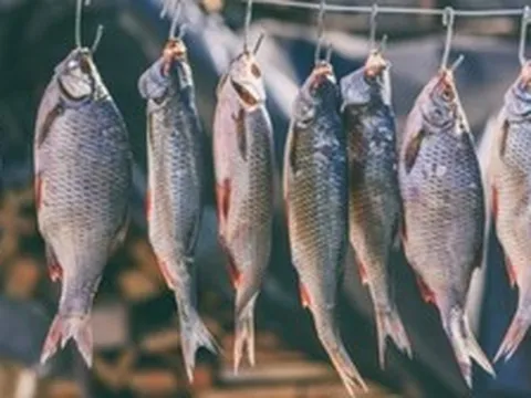 4 loại cá làm tăng nguy cơ mắc ung thư nếu lạm dụng: Thích tới mấy cũng phải hạn chế