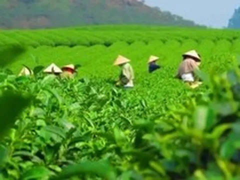 Thái Nguyên đề xuất thu hồi đất để triển khai 32 dự án