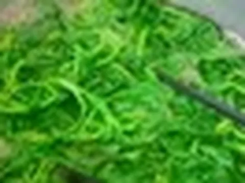 Luộc rau nên đậy hay mở nắp nồi? Đơn giản thế mà nhiều người vẫn sai