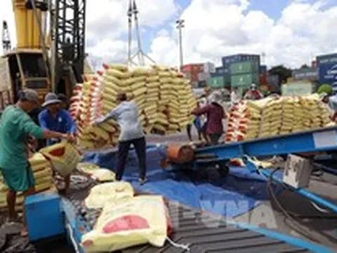 Xuất khẩu nông lâm thủy sản 6 tháng đầu năm đạt gần 36 tỷ USD