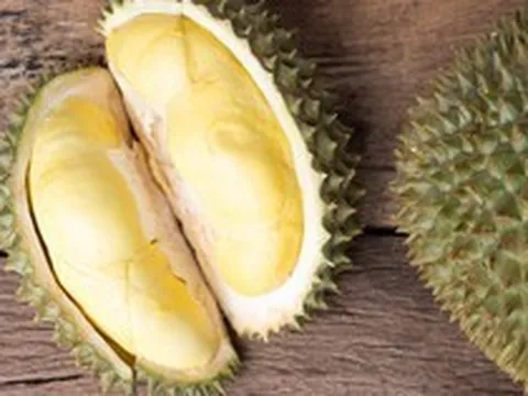 Sầu riêng đắt nhất thế giới 1,2 tỷ đồng/quả có gì đặc biệt?