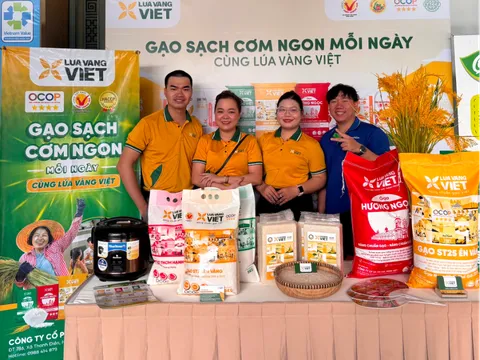 Gạo Lúa Vàng Việt - Thương Hiệu Gạo Tây Ninh 4 năm liên tiếp đạt Hàng Việt Nam Chất Lượng Cao
