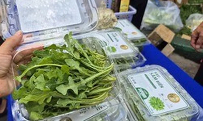 Bất ngờ về loại rau 350.000 đồng/kg vẫn được người ở TP.HCM xem là “rẻ”