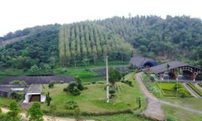 Thanh Hóa xin gỡ "nút thắt" cho công viên sinh thái tre luồng 300 tỉ đồng