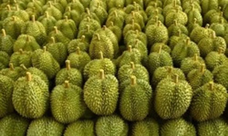 Việt Nam đón tin vui cùng lúc từ Campuchia và Malaysia